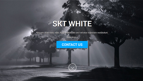 white WordPress theme