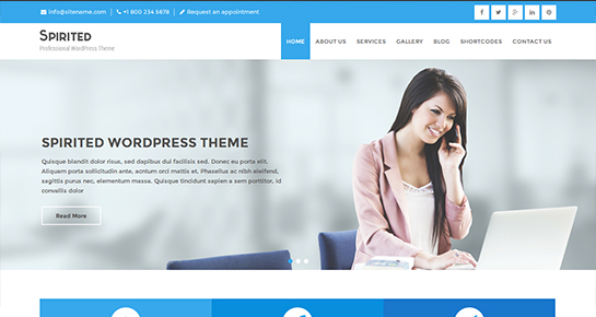 corporate WordPress theme